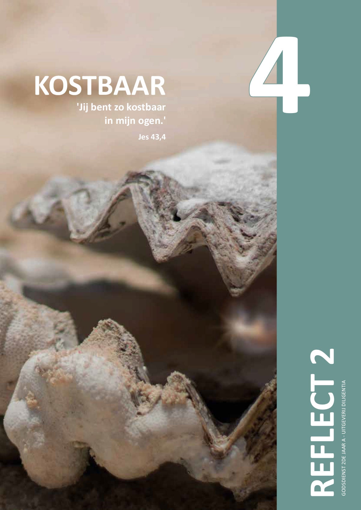 Reflect 2.4 Kostbaar