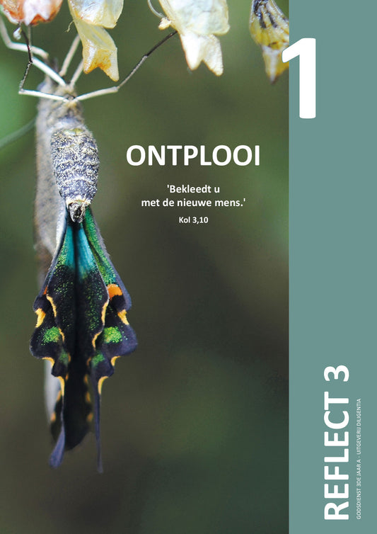 Reflect 3.1 Ontplooi